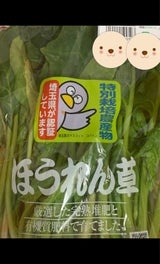 昔がえり ほうれん草 1P