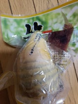 カトウ タケノコ