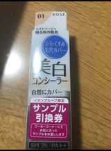 エルシア プラチナム コンシーラー 001