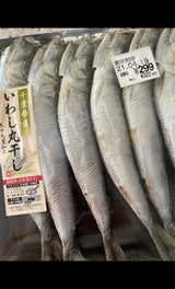 権現 いわし丸干中羽 5尾