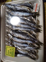 かねこ たれ丸干し 20尾