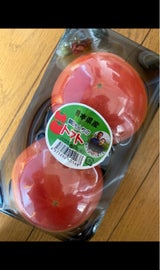 弘宗 トマト 1P