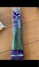 マルシン 太郎ネギ 1P