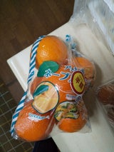 精晃 オレンジ 1P