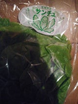 中田サンファーム サンチュ