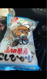 高知 26年度産高知県産無洗米こしひかり 5kg