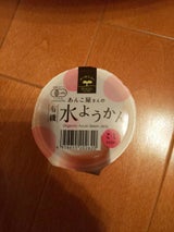 遠藤製餡 有機水ようかん こし 100g