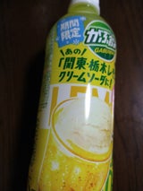 がぶ飲みレモンクリームソーダ PET 500ml