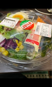 グローバル　野菜たっぷりサラダうどん　１Ｐの商品写真