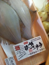 橋本 干しかれい 1P