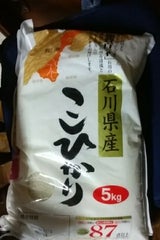 イズミ 米どころこしひかり 5kg