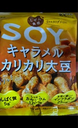 大塚食品しぜん食感SOYキャラメルカリカリ大豆21