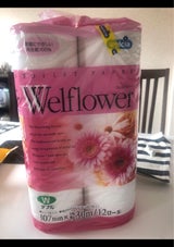 ウェルフラワー 30m ダブル 12R