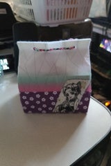 桔梗屋 鬼滅桔梗信玄餅胡蝶しのぶ 6個