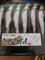 谷藤 子持ちししゃも 10尾