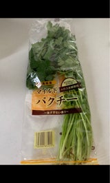 ベジタプラザ パクチー 40g