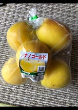 相馬村 シナノゴールド 1P