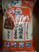 ひめライス あらうまい 愛媛県産にこまる 5kg