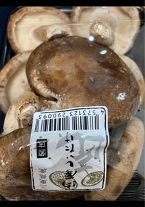 栄農人　菌床　生椎茸　大　６タマのレビュー画像