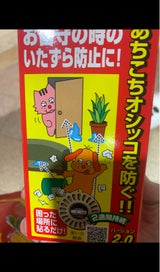 トーラス アチコチノン 5個