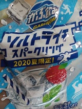 がぶ飲みソルトライチスパークリング 500ml