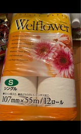 ウェルフラワー 55m シングル 12R