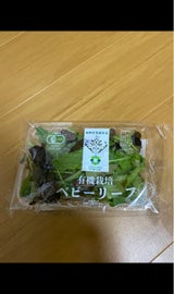 FYアグリ 福岡県産有機栽培ベビーリーフ 30g