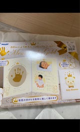 パイロット おたんじょうきろく メモリアルゴールド