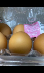使用している写真