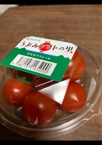 プランツ　うまみトマトの里　１２０ｇのレビュー画像