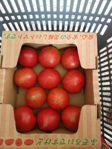 八代青果食品　ふぞろいのトマトたち　１ｋｇのレビュー画像