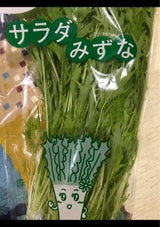 ホリアキ 鳥取産サラダ水菜 1P