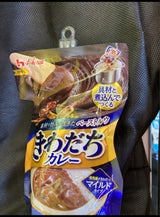 きわだちカレー果実感きわだつマイルドタイプ144g