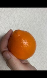 ヨドヤ ミネオラオレンジアメリカ産 1P