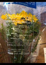 日本アグリビジネス 生花349