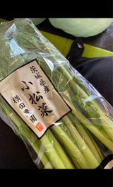 東神 こまつな 茨城 1P