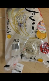 食協 青森まっしぐら 10kg