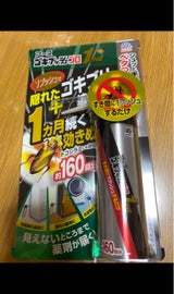 アースゴキプッシュプロ1 160回分 34ml