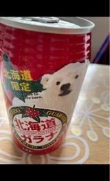 サッポロウエシマ 北海道ガラナ 350ml