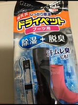 エステー 備長炭ドライペット ブーツ用 84g