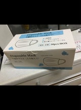 不織布マスク 白 50枚