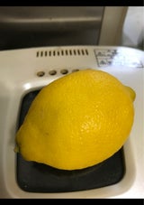 パールP レモン