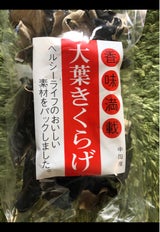 池田 奈良憲県産椎茸 40g