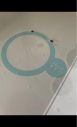 三栄 節水シャワーヘッド レイニー W