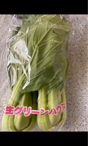 壬生　チンゲン菜　２Ｐのレビュー画像