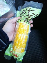 クレードル 軸付ピーターコーン M