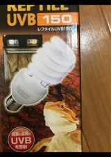 GEX レプタイルUVB150 26W
