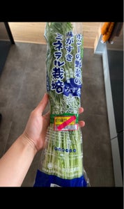 東神楽　水菜　２００ｇのレビュー画像