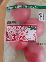 全農えひめ とまと パック