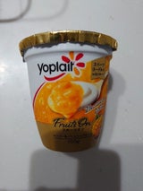 フジッコ ヨープレイト マンゴー&PF 100g